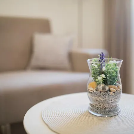 Apartment Vinka *